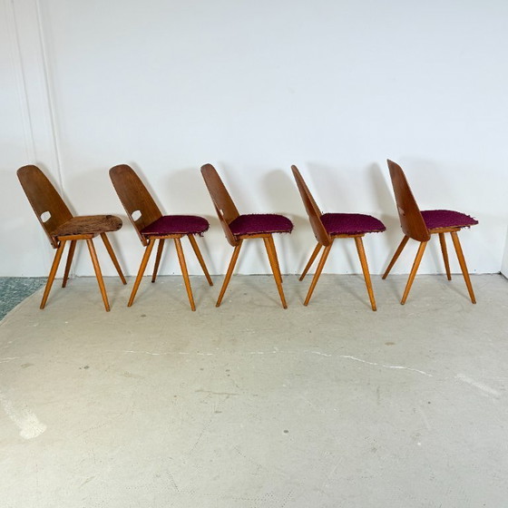Image 1 of Set di 5 sedie da pranzo vintage – Frantisek Jirak