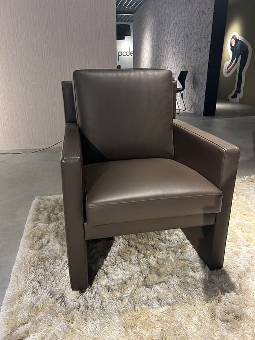 Évidence Timandra armchair