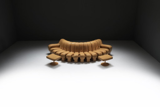 DS-600 Snake Tatzelwurm Sofa by Berger, Peduzzi-Riva, Ulrich, Vogt for De Sede Swiss