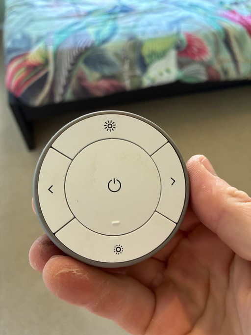 Ceiling lamp with different colors and remote control