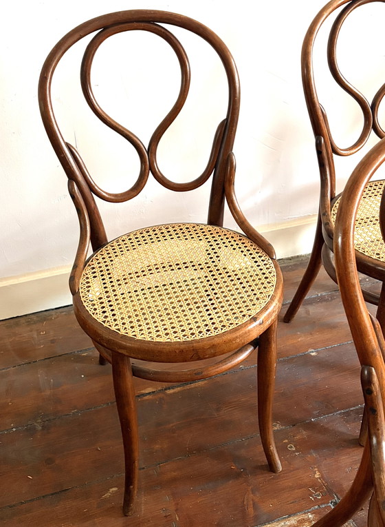 Image 1 of Seltene antike Thonet „Omega“ Modell 20, 5x Esszimmerstuhl aus Bugholz und Gurtband
