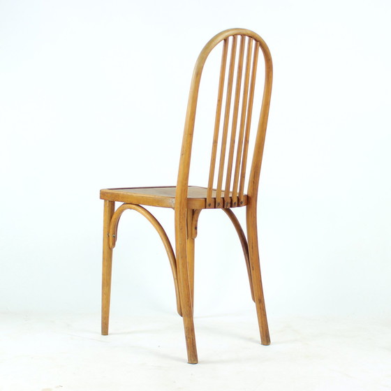 Image 1 of Vintage Thonet Bentwood Eiken Stoel Met Origineel Etiket, Tsjecho-Slowakije, jaren 1920
