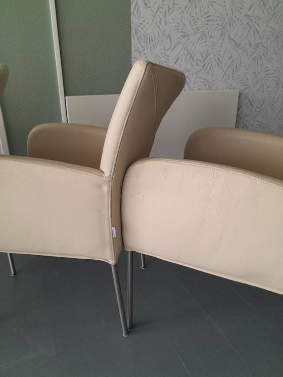 Image 1 of Plantagie Leer wit 6 stuks