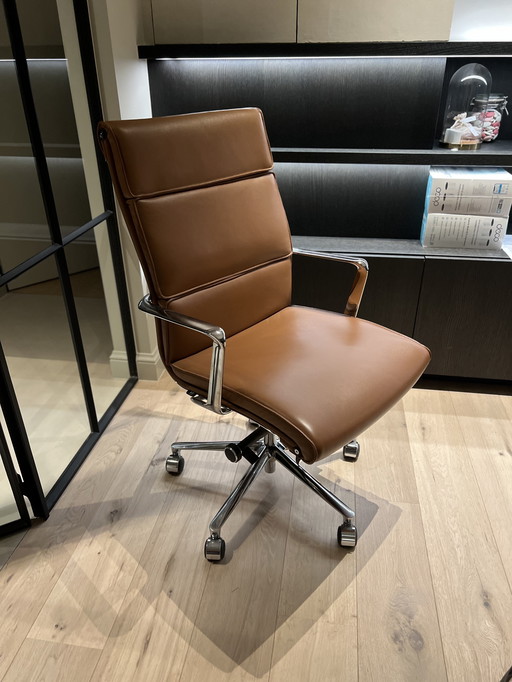 Presidente esecutivo ICF UNA