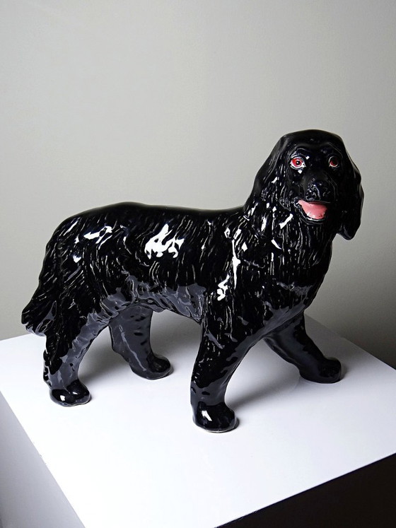 Decanter vintage per rum Newfoundland Screech, con cane di Terranova in ceramica. – Oggetti decorativi (photo 4 of 11)