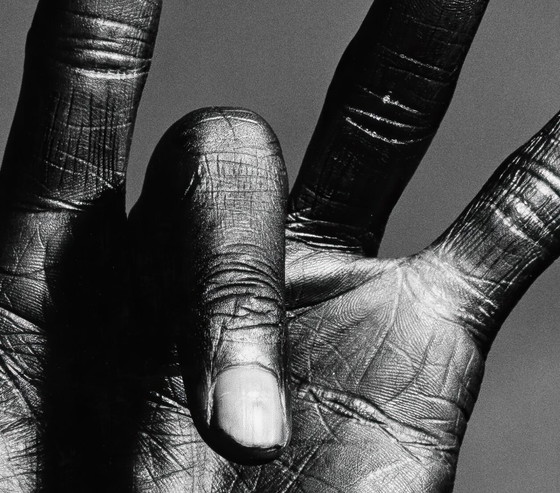 Image 1 of De hand van Miles Davis - Irving Penn, New York, 1986 - 45,7 x 45,7 cm
