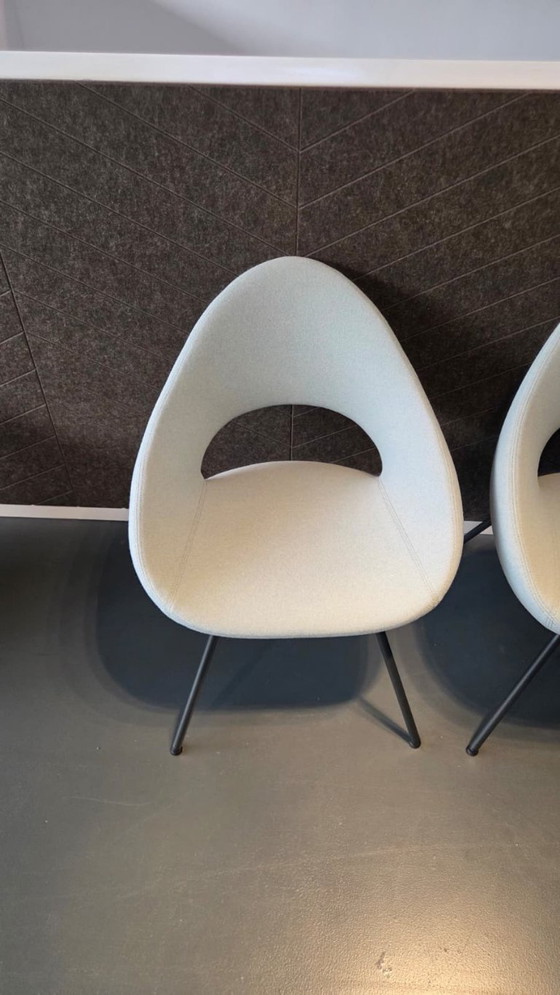 Image 1 of 6x Artifort Shark stoel van René Holten