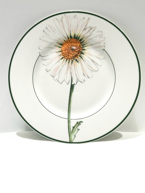 Villeroy & Boch Flora 'Marguerite', 12-piece Crockery set, Porcelain, Green (photo 5 of 6)