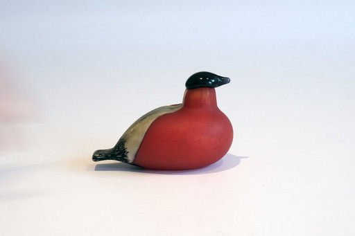 Iitala Oiva Toika Punatulkku