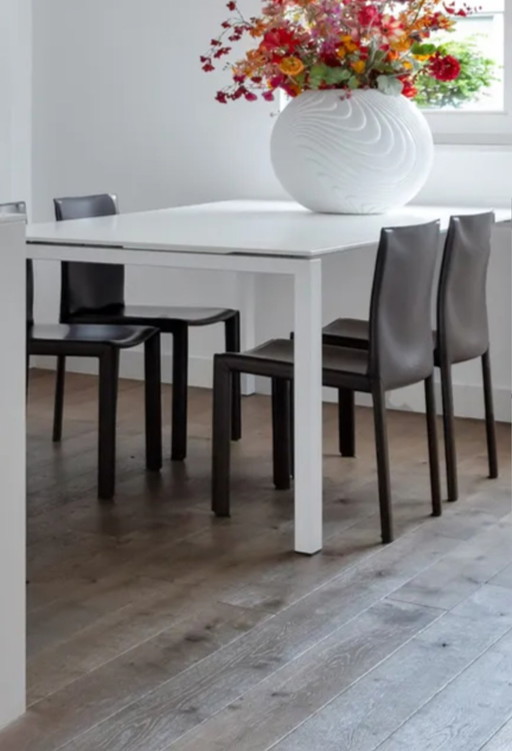 Leather dining chairs Enrico Pellizoni