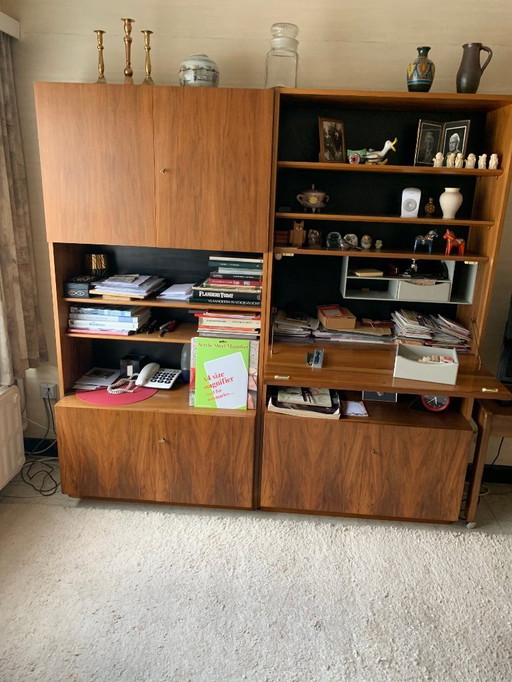 Walwood wall cabinet