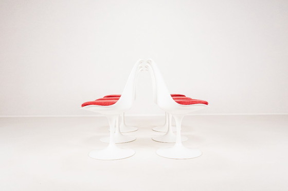 Image 1 of Set of 6 Tulip Dining Chairs by Maurice Burke for Arkana, England, 1960s