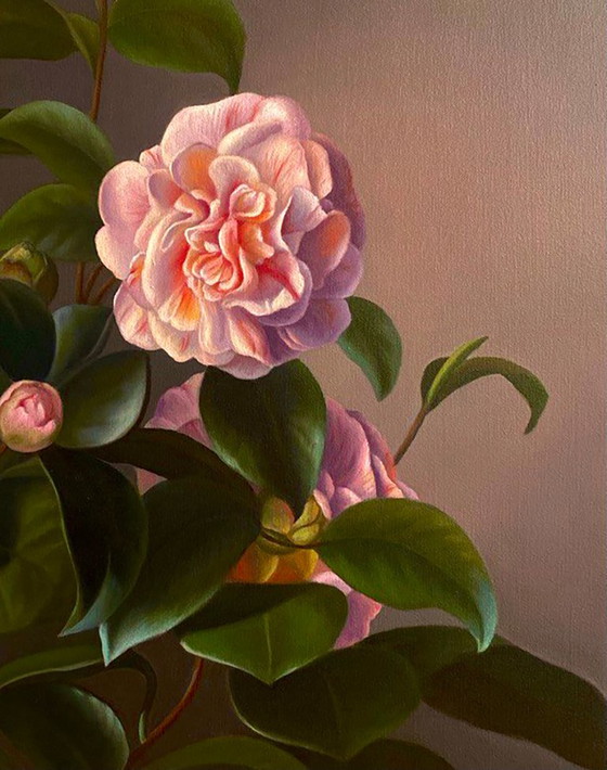 Original Oil Painting Camellia Flower – Paintings & Drawings, Canvas (photo 5 of 6)