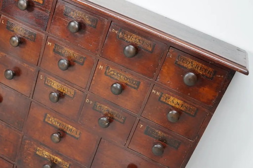 Antique English Hardwood Apothecary Cabinet / Chest of Drawers, 19th Century