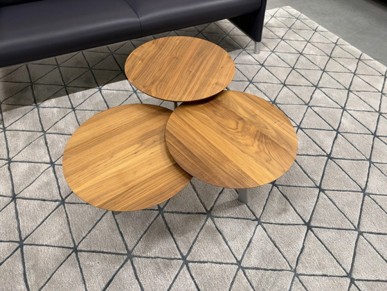 Leolux Ninfea Coffee table walnut houf, Wood, Multi Color (photo 14 of 14)