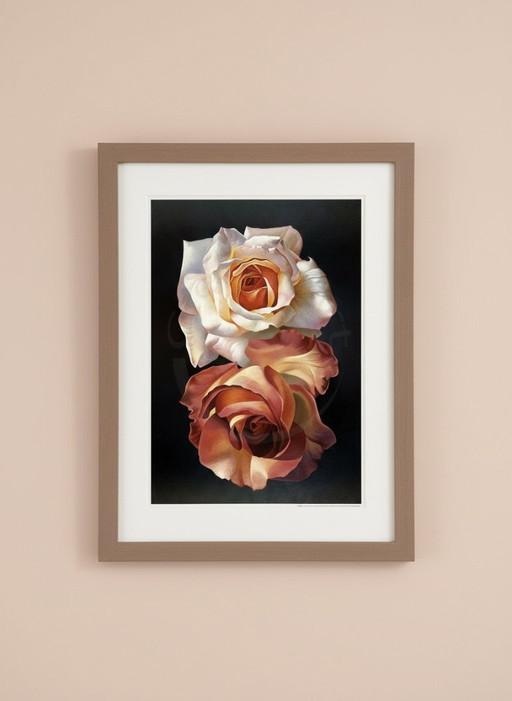 Magic of the Rose - Campana, Franco - Due Rose - Art Print