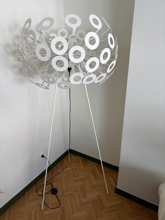 Dandelion Stehleuchten Richard Hutten – Moooi, Metall, Kunststoff (photo 10 of 10)
