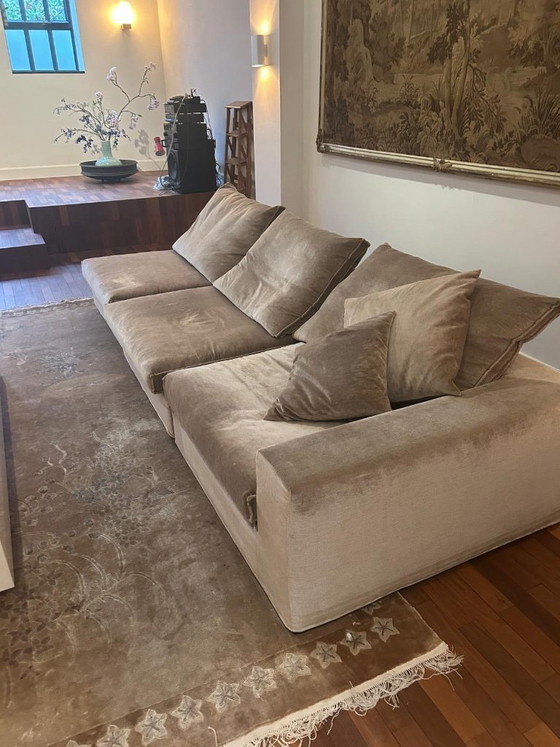 Taupe Samtsofa, Eric Kuster, Modulare Sofas, Stoff, Beige, Modern (Foto 4 von 8)