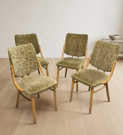 Bentwood Dining Chairs set of 4, Retro Beech Wood & Olive Velour Chair, TON 1960s–1970s, Czechoslovakia