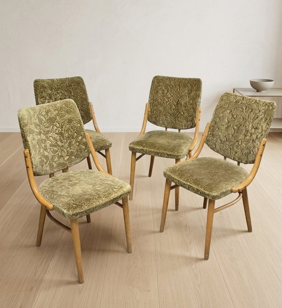 Image 1 of Bentwood Dining Chairs set of 4, Retro Beech Wood & Olive Velour Chair, TON 1960s–1970s, Czechoslovakia