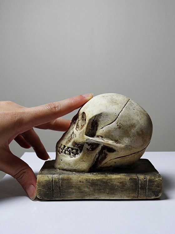Image 1 of Ancien Memento Mori en plâtre, crâne sur livre, curiosité fin XIXe début XXe