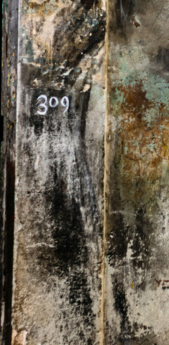 Image 1 of Wouter van Donselaar - Face 103