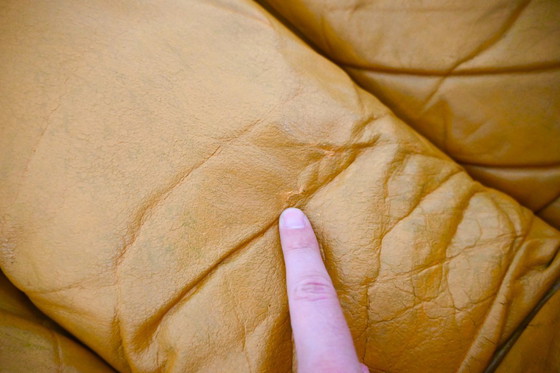 Image 1 of Sofá modular DS-600 de Berger, Peduzzi, Vogt & Ulrich para De Sede, década de 1970