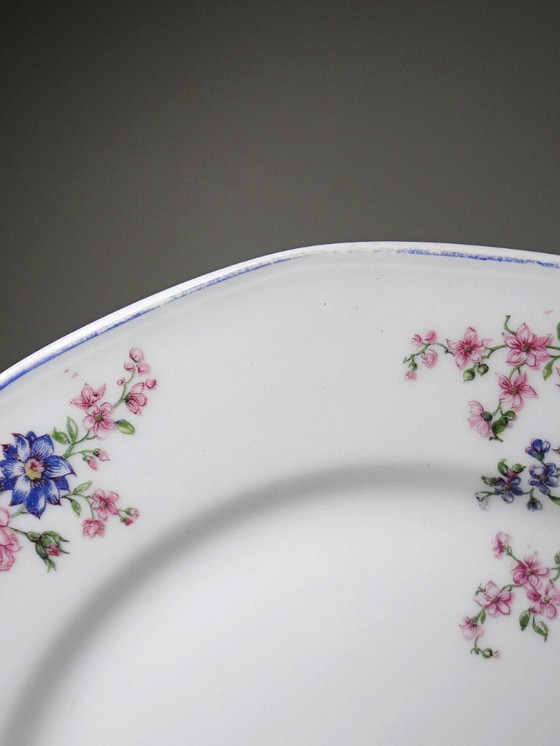 Image 1 of 7 Bernardaud Limoges porcelain dessert plates with floral decoration from the 1920s-1950s