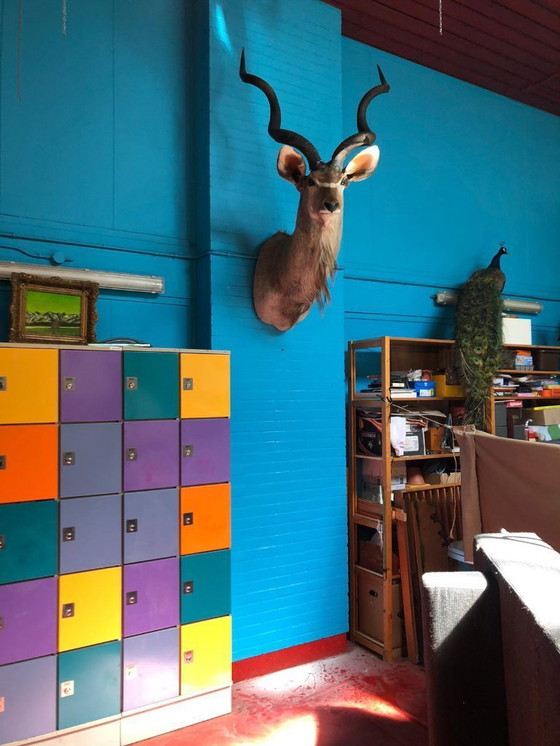 Image 1 of Beautiful locker cabinets, 4 pieces next to each other, 240 cm wide, including keys