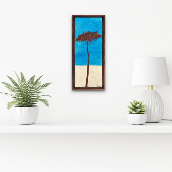 Image 1 of Umbrella pine 50x20cm