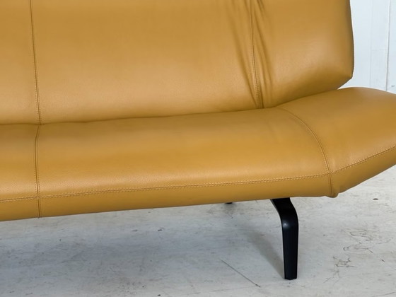 Leolux Tango Divano in Pelle Design Classico – Divani, Metallo (photo 11 of 17)