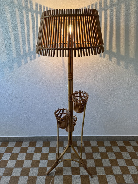 Image 1 of Lámpara de pie con soporte para plantas de ratán de los años 50