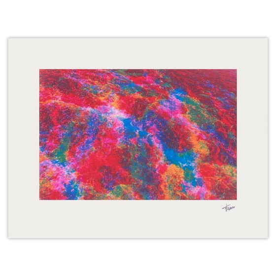 Image 1 of Philippe FRESCO Wasser... das Blut der Erde II Siebdruck 1993