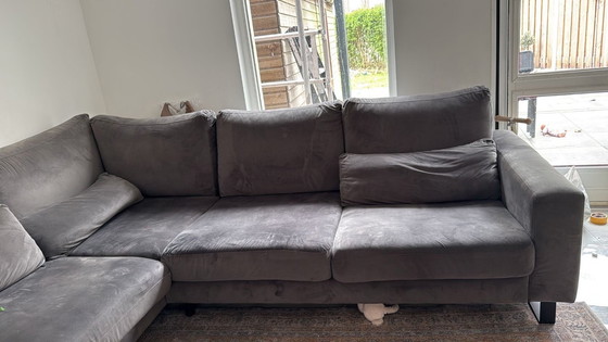 Image 1 of Divano angolare in velluto grigio con molle insacchettate, 288x250 cm