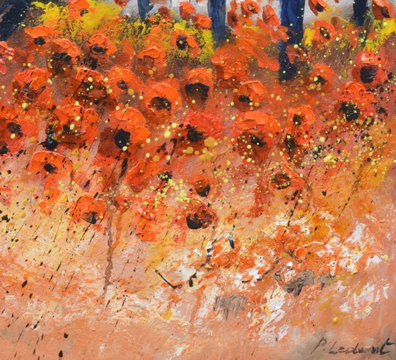 Image 1 of Rode klaprozen in de Provence