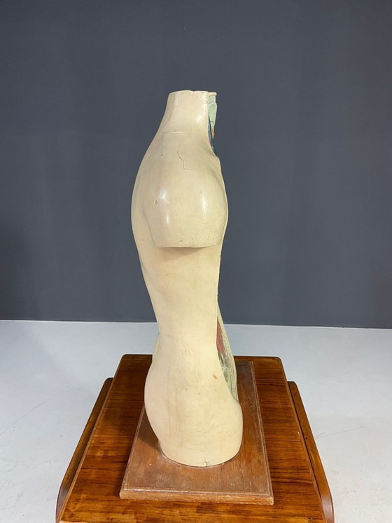 Image 1 of Anatomisch menselijk model, leermiddel, Tsjecho-Slowakije, jaren 1960