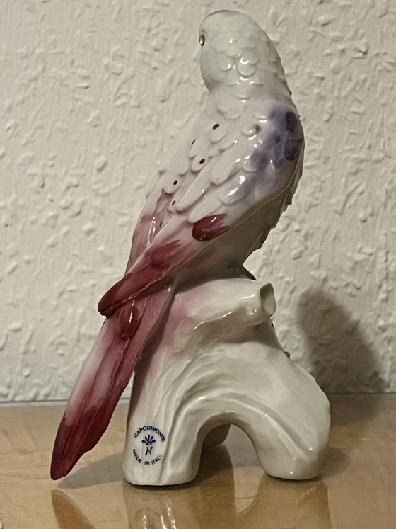 Image 1 of Figura Capodimonte Porzellan Papagei