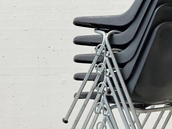 Image 1 of Set di 6 sedie Polyside, classici del design britannico disegnati da Robin Day per Hille, anni '70.