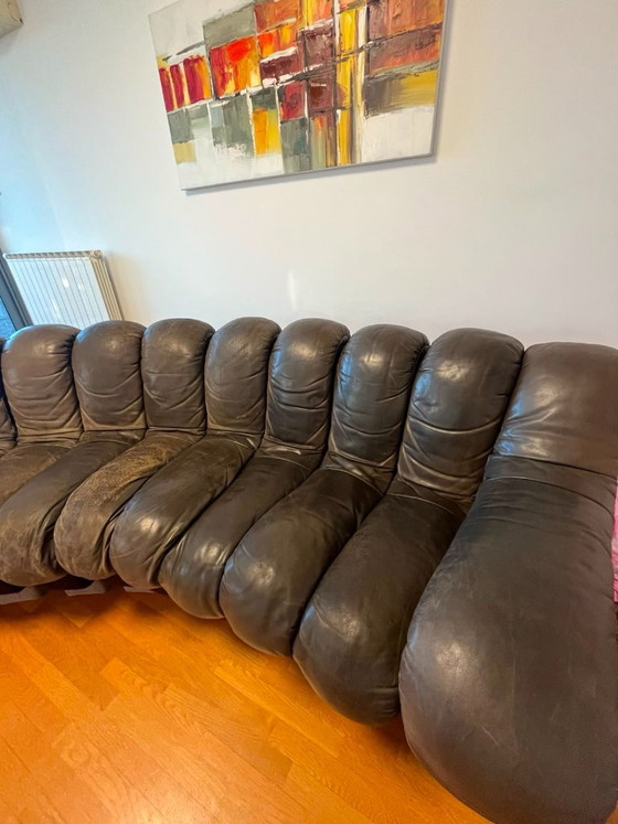 De Sede DS-600 "Tatzelwurm" banken – Olijfgroen leer – Totaal 21 modules – Modulaire banken, Leather (photo 6 of 7)