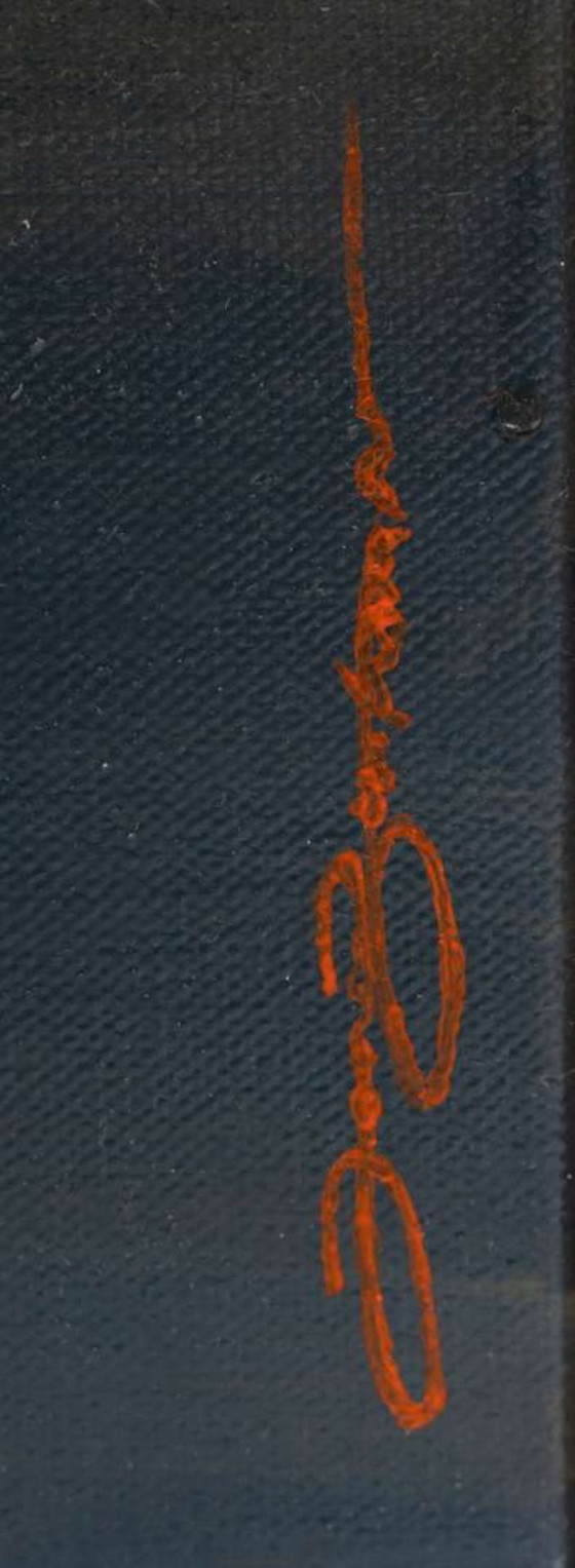 Image 1 of Olieverfschilderij Jeroen Buitenman 