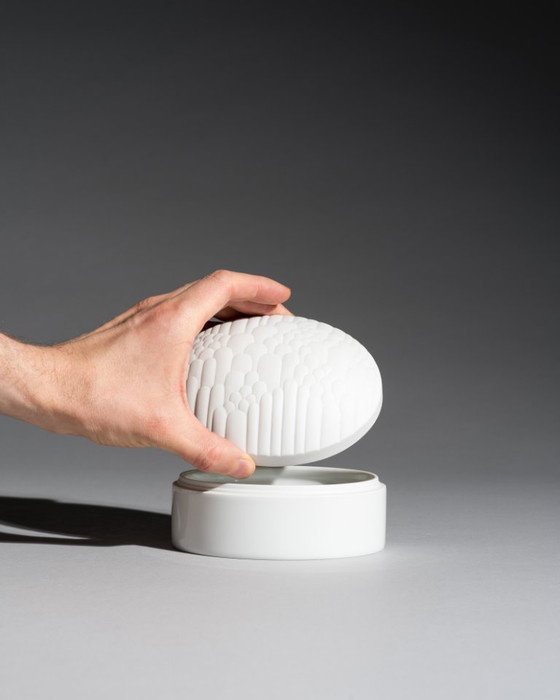 Image 1 of Rosenthal Anemone Porseleinen Trio Grote Vazen met Doos met Deksel van Rosemonde Nairac