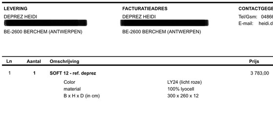 Image 1 of Teppich - JoV - 300x260cm