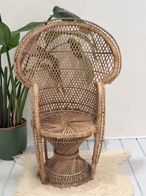 Rotan pauwenstoel voor kind