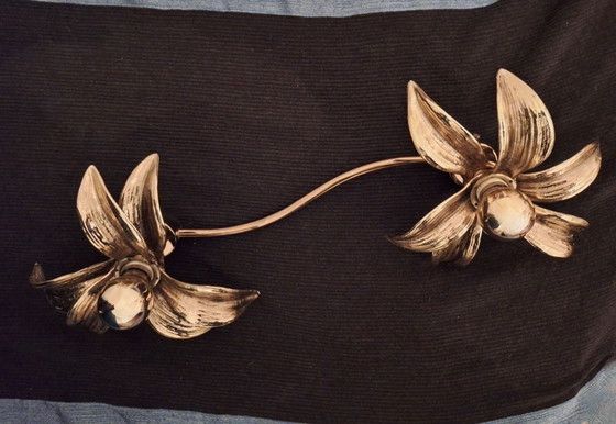 Image 1 of Brass Organically Shaped Double Wall or Ceiling Lights, 1970s