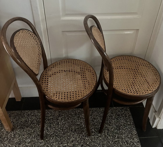 Image 1 of Juego de sillas de comedor Thonet Radomsko