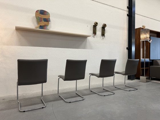 Image 1 of 4 Leolux Freyr dining chair Wapiti Triel