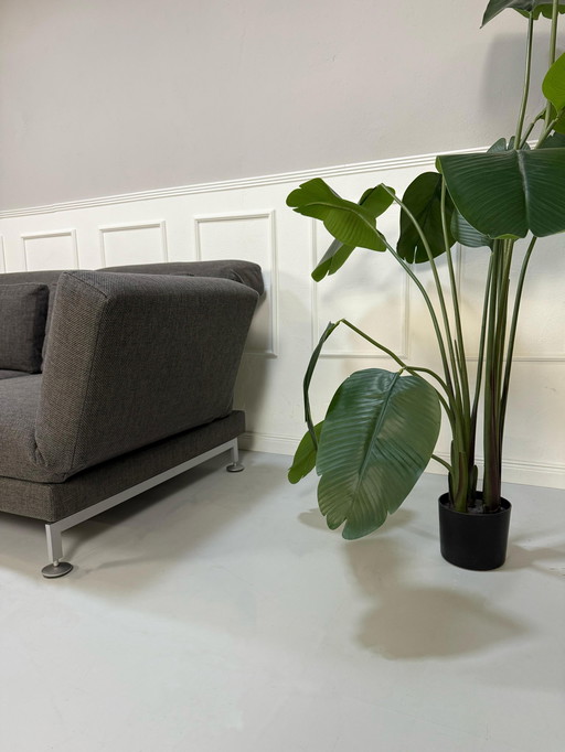 Brühl Moule Sofa Gray Sofa Bed Designer Sleeping Function
