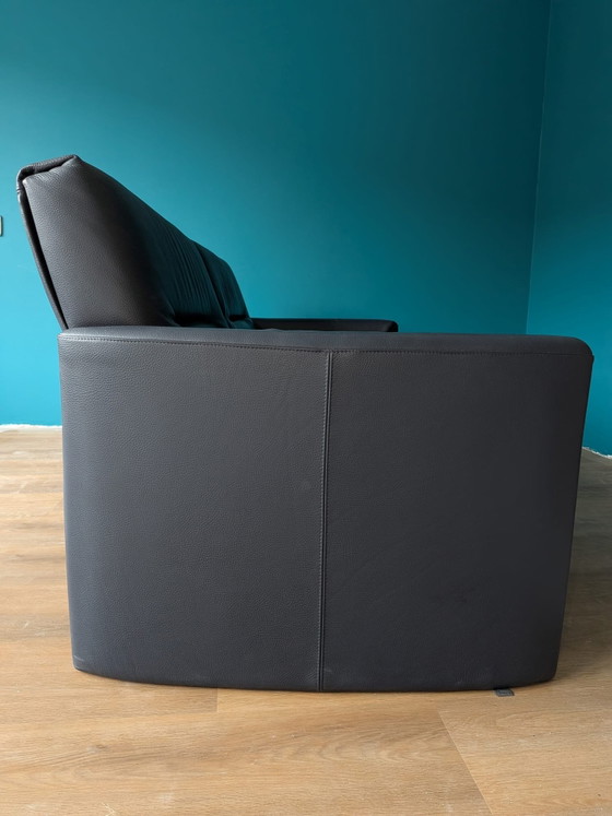 Divano Leolux Bora Bora 2,5 posti – Design senza tempo in viola scuro – Divani 2 posti, Leather (photo 4 of 9)