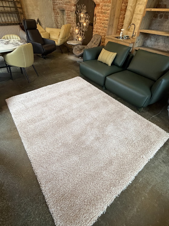 Image 1 of Alfombra Brink y Campman Sprout