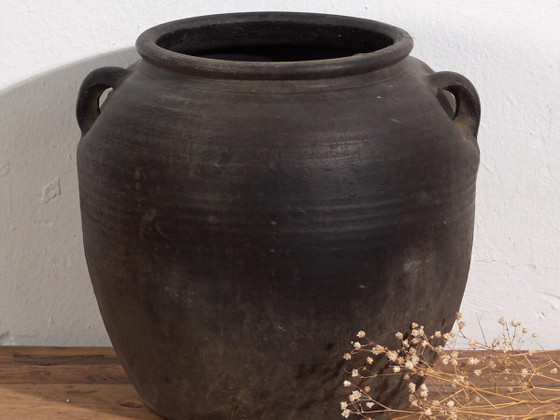 Piccolo vaso antico con manici (c.1900) #1 – Vasi (photo 2 of 40)